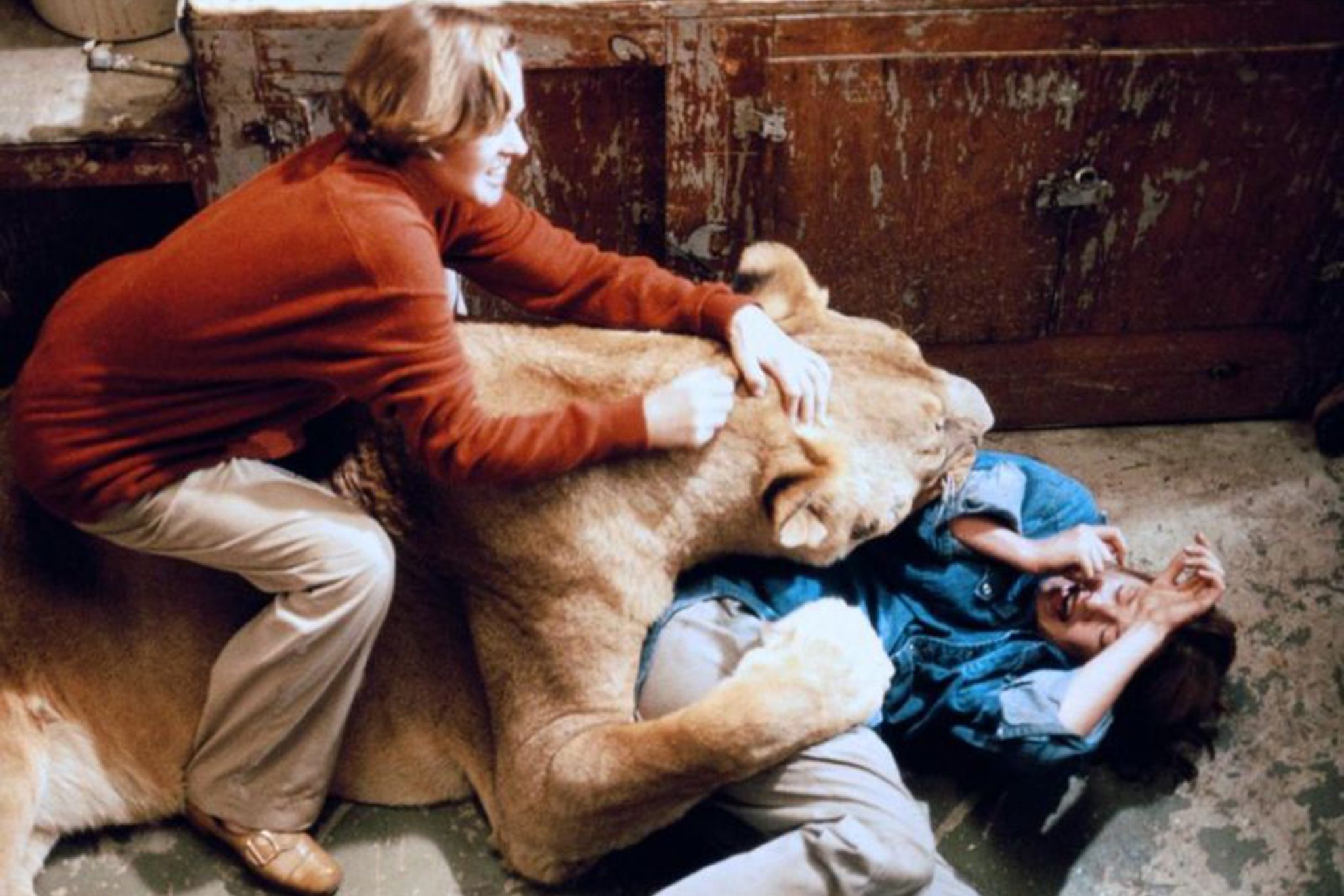 Melanie Griffith Lion Accident