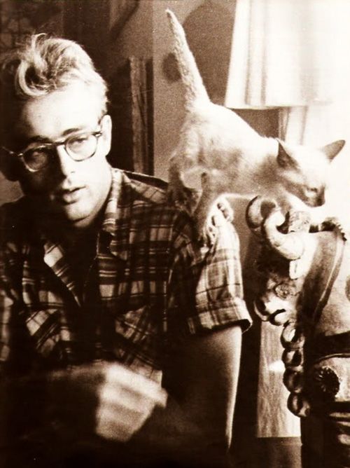 20 Amazing Photos Of The Always Young James Dean