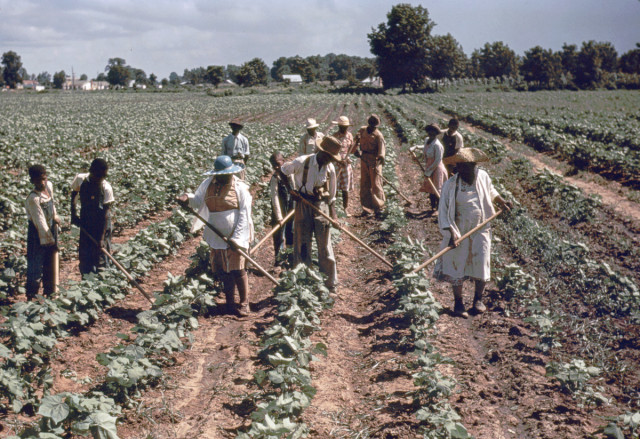 color-photos-show-the-lives-of-the-sharecroppers-during-the-great