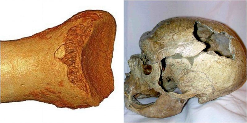 what does the dna evidence suggest about the neanderthals