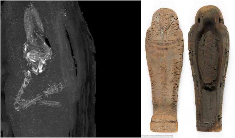 Archaeologists Believe They Have Discovered The Smallest Coffin Ever Buried In Ancient Egypt