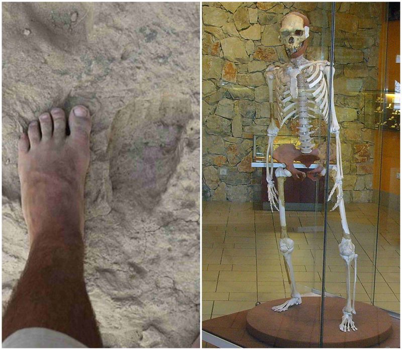 Analysis Of Million Year Old Footprint Suggest The Homo Erectus