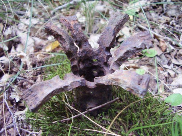 Incredible Amount Of Wwii Battlefield Relics Still Being Found On The