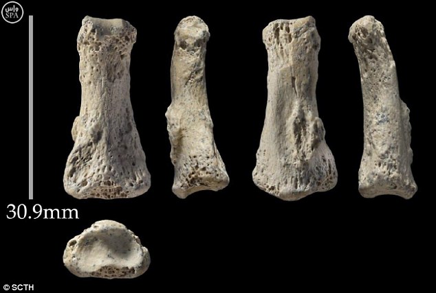 oldest-known-human-bone-has-been-discovered-in-saudi-arabia