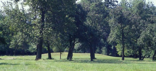 Ancient remains founded at ‘America’s first city’ reveals women held ...