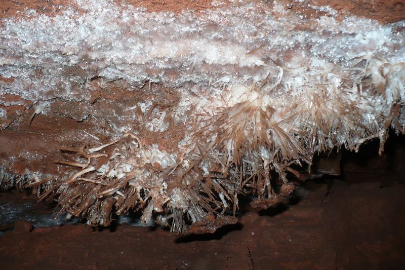 The Craighead Caverns In Tennessee Contain The United States Largest