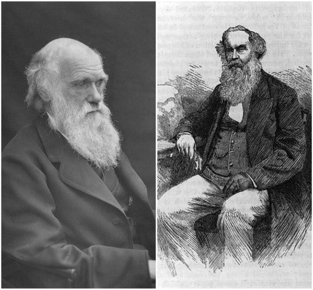 victorian era beards doctors