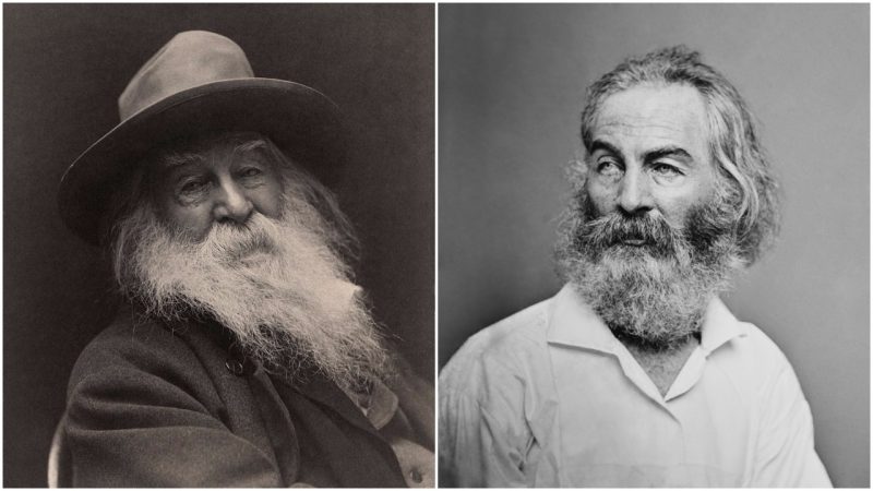 During The American Civil War Walt Whitman Volunteered As A - 