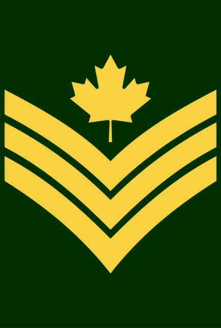 Army Rank: The Word "Sergeant" Comes From the French Word Meaning "a