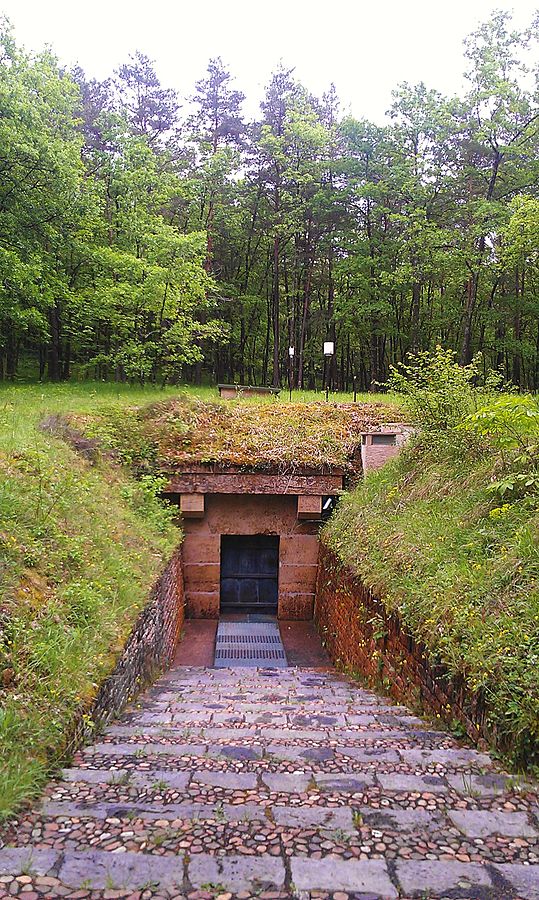 Visitors To The Lascaux Caves Do Not See The Genuine 17 000 Year Old   539px Lascaux Entrance 