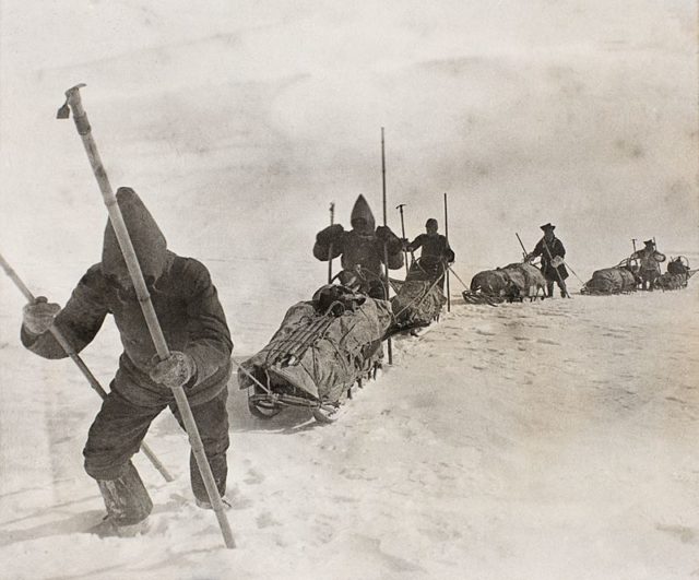 The many lives of Fridtjof Nansen: From North Pole explorer and ...