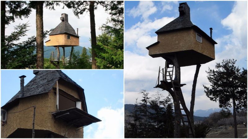 The Ultimate In Personal Architecture A Traditional Japanese Tea House Atop A Tree