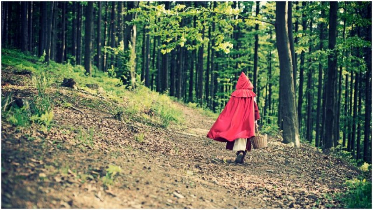 The Earlier Versions Of Little Red Riding Hood Were Violent And Grotesque