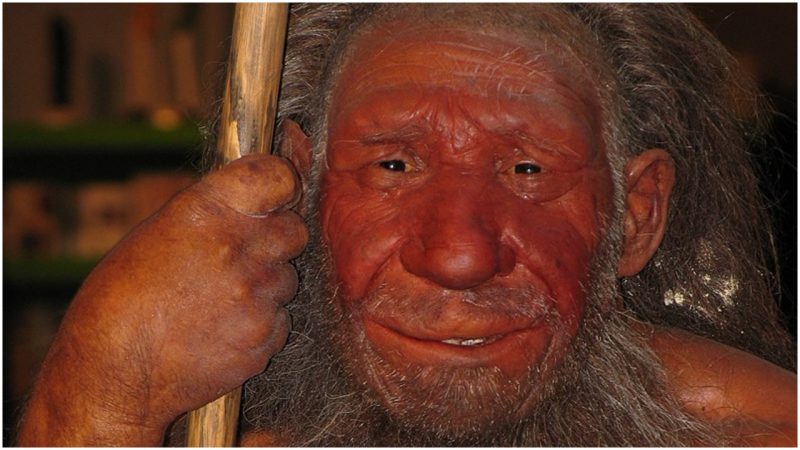 Researchers find genetic proof of interbreeding between Neanderthals ...