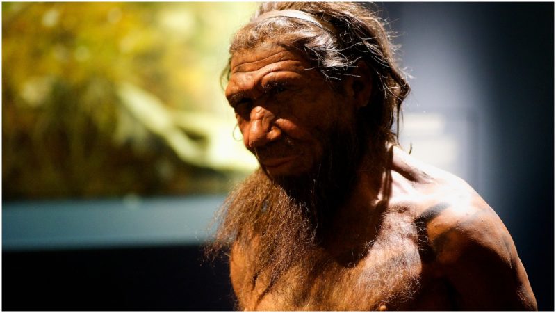 DNA analysis of the Denisovan species shows they mingled with humans at ...