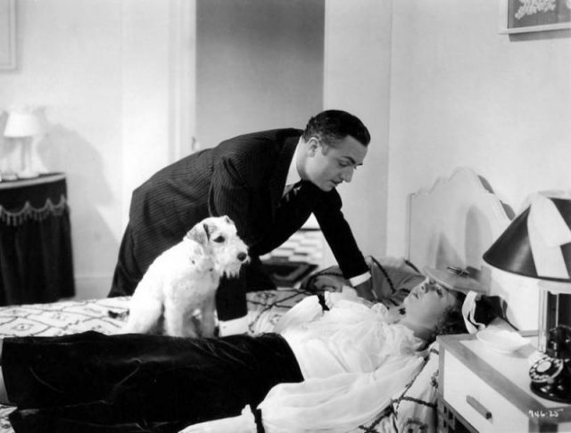 William Powell, Myrna Loy, e Skippy em The Thin Man (1934).