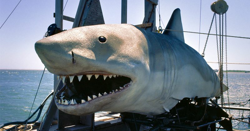 Jaws 2 was Nearly Set During World War II