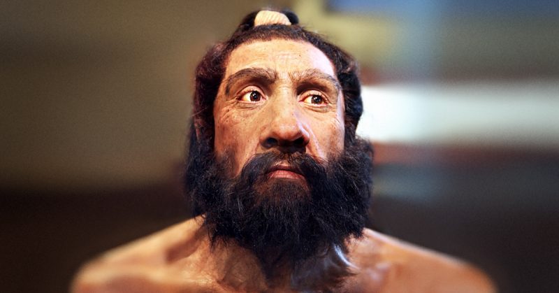 Neanderthal Neanderthal Ancient History Encyclopedia Neanderthals Are An Extinct Species