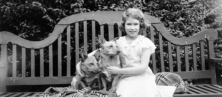 queen elizabeth II sitting on a garden seat with two corgis at 145 piccadilly london