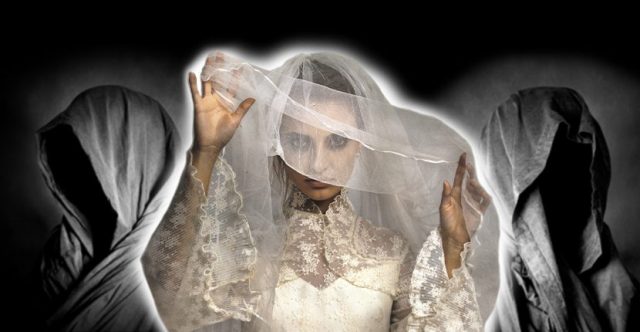 a wedding veil