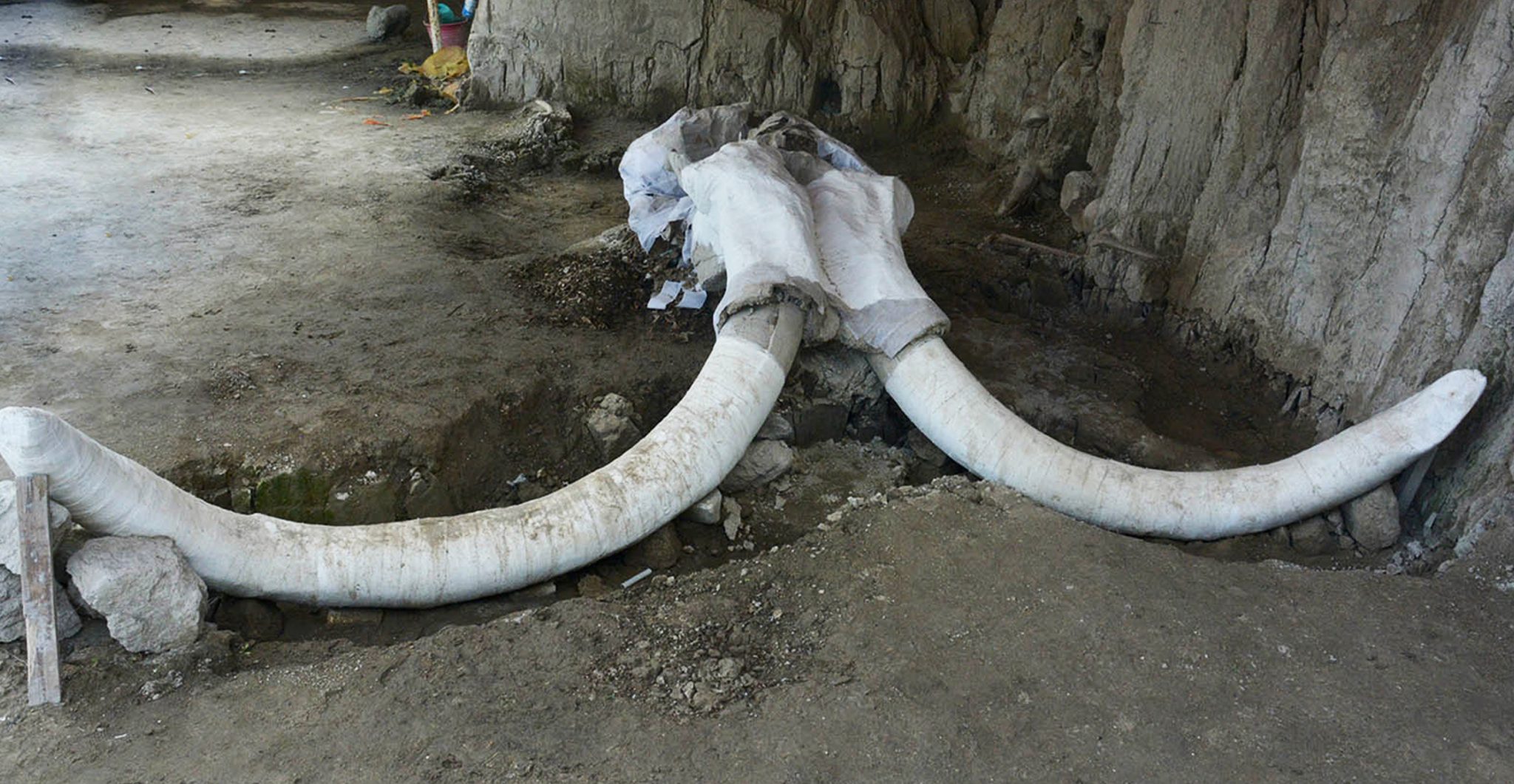 Mammoth Pit Traps Found Shed New Light on how Ancient Humans Hunted ...