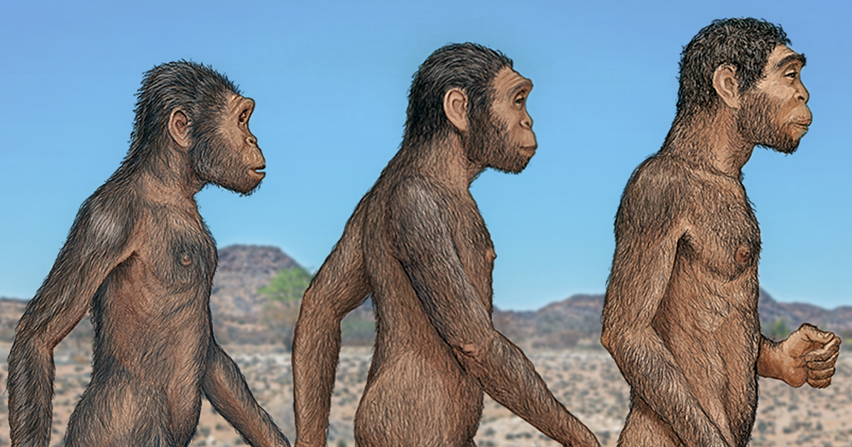 Groundbreaking Fossils Of 3 DIFFERENT Human Species Found In Same 