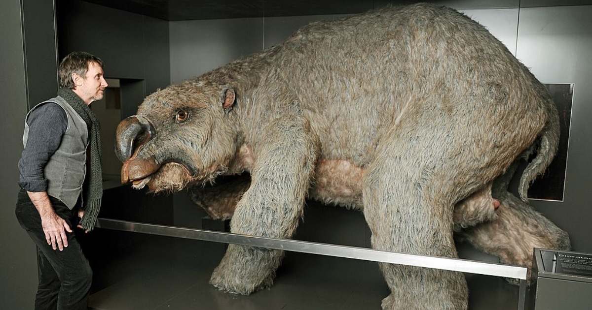 Remains of GIANT Wombat 25 Million Years old Found in Australia