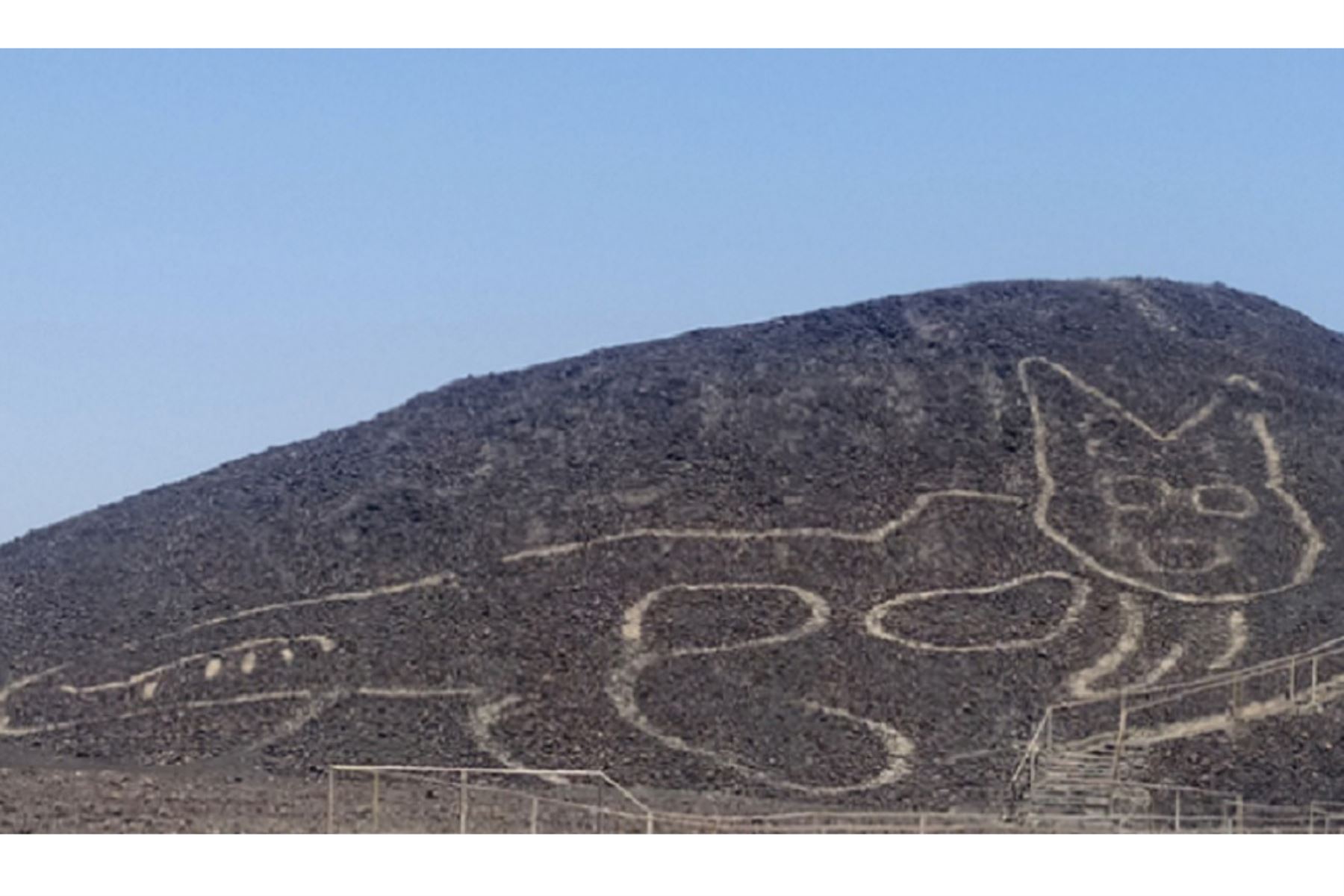 2,000 Year Old Cat Geoglyph Found Chilling on Peru's Nazca Lines