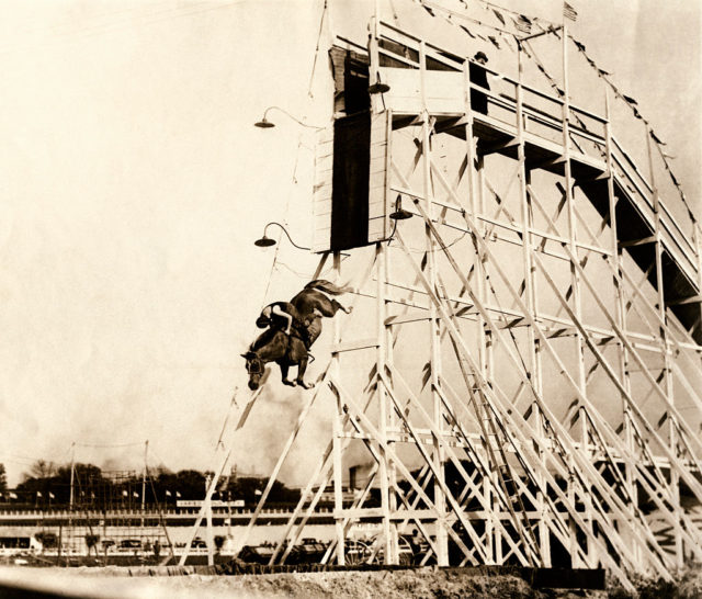 Dr. Carver's daughter rides her high-diving horse