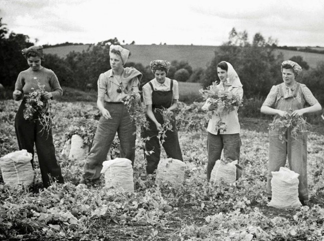 The Women Who Took Care Of Farming During Wwii Interesting Photos Show The Lives Of The Womens 2588