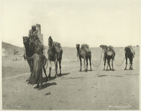 These photos show Egypt from the 1870s