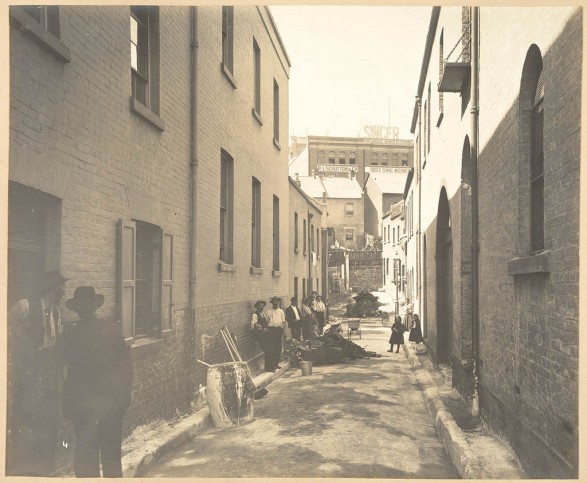 Buildings were destroyed when the plague struck Sydney back in 1900 ...