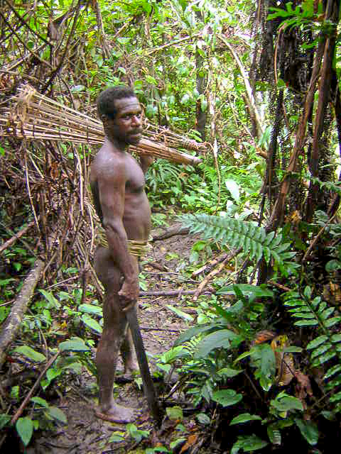 One Of The Last Active Tribes Of Cannibals Korowai Live In Tree Houses On Isolated Territory