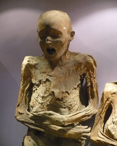 The Mummies of Guanajuato are a number of naturally mummified bodies ...