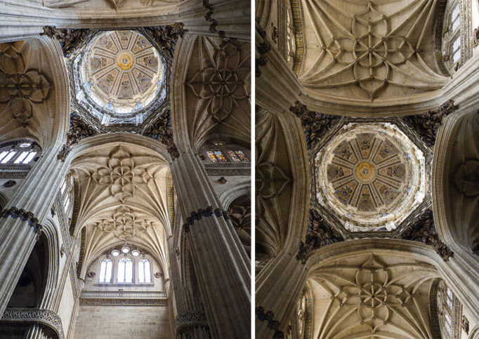 The New Cathedral Of Salamanca: A 16th-century Cathedral Carved With ...