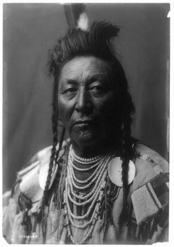 Stunning portraits of chiefs and members of the Crow tribe | The ...