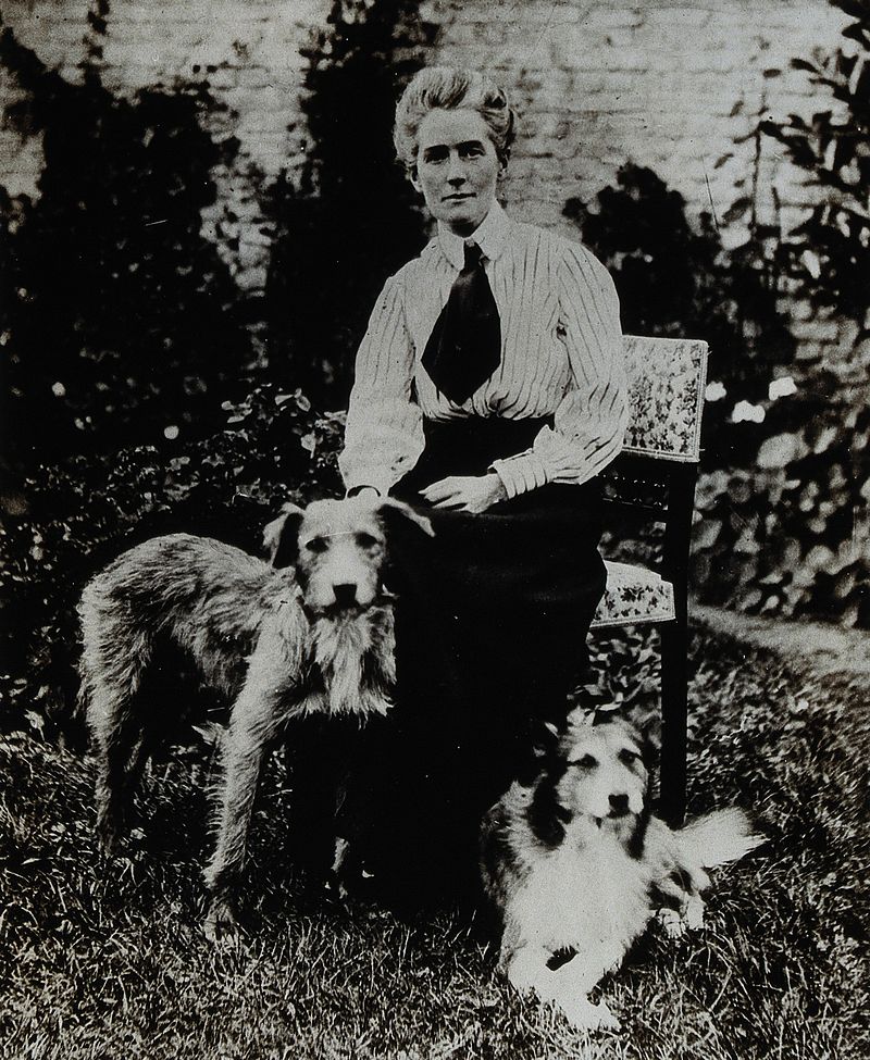 Edith Cavell Was A British Nurse Who Was Executed In Wwi By The Germans For Saving The Lives Of