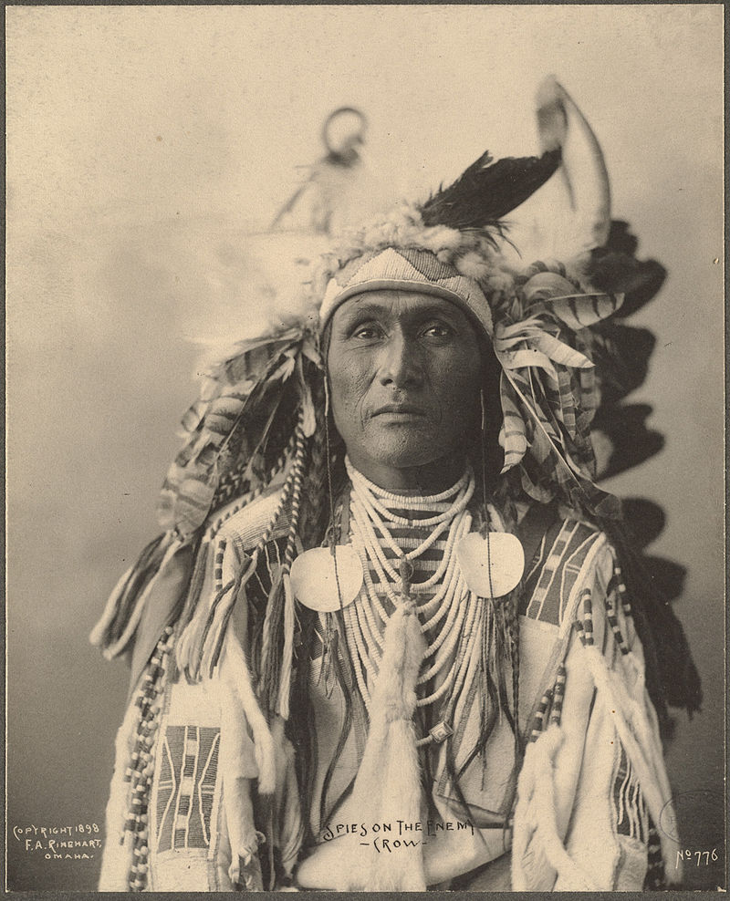 Stunning portraits of chiefs and members of the Crow tribe | The ...