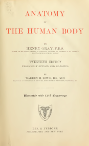 Gray's Anatomy: A cult human anatomy textbook by Henry Gray | The ...