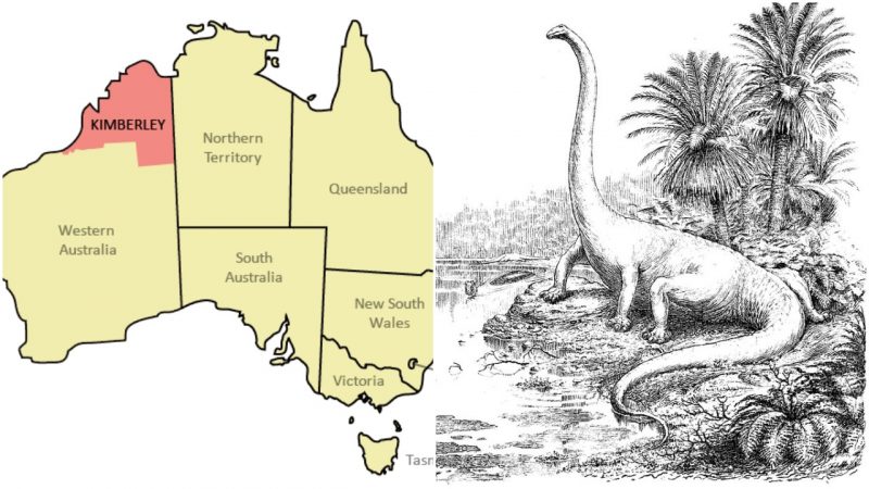 The Largest Dinosaur Footprints Ever Seen Discovered In Australia S