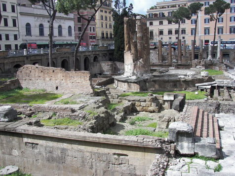 The site in Rome where Julius Caesar was killed is now a stray cat ...