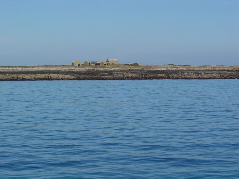 For those who like harvesting seaweed and gathering skeletons of ...