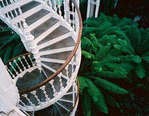 The splendid glasshouse called Temperate House, part of the royal ...