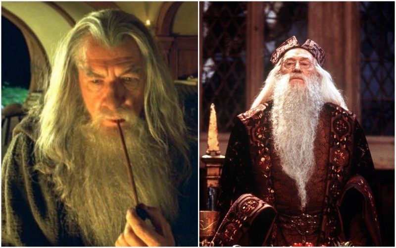 ian mckellen gandalf vs dumbledore