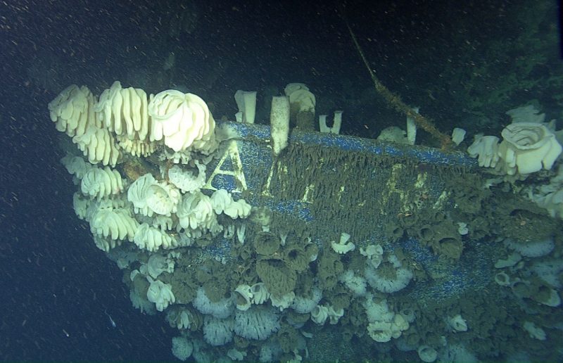 Ship which Sank in 1995 Found off California Coast - 3D Model Made ...