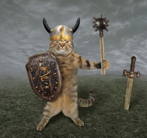 Viking Cats - DNA Study Shows the Crucial Role Felines Played in Viking ...