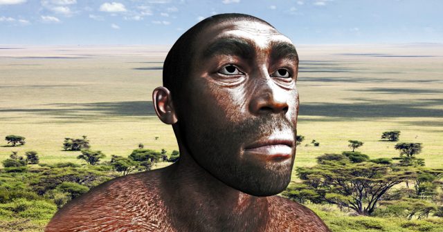 first humans in africa