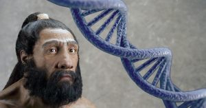 Neanderthal DNA