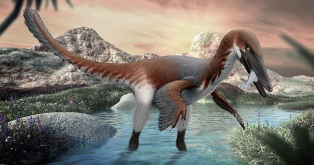 Extraordinary Fossils of a Rare "Feathered Raptor" Found in New Mexico | The Vintage News