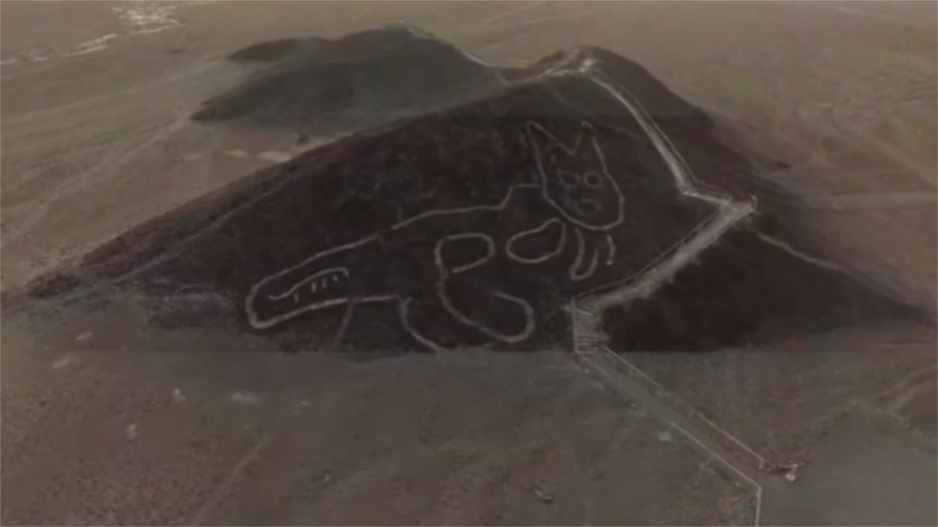 2,000 Year Old Cat Geoglyph Found Chilling On Peru's Nazca Lines | The ...